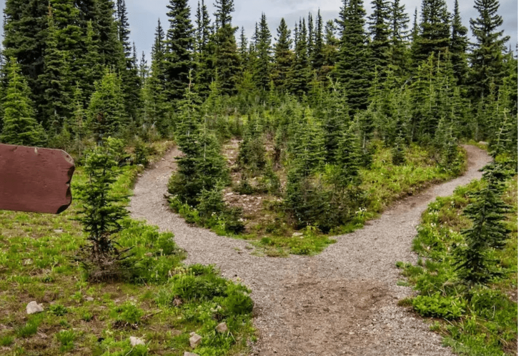 Navigating the Transitions